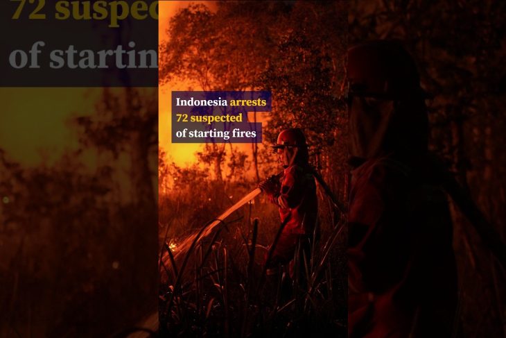 Indonesia arrests 72 suspected of starting fires
