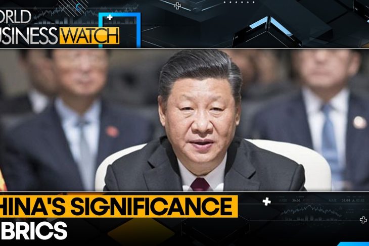 Can India-China Ties Unlock BRICS Dominance? | WION World Business Watch