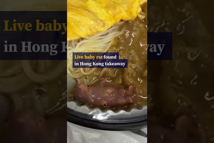 Live baby rat found in Hong Kong takeaway