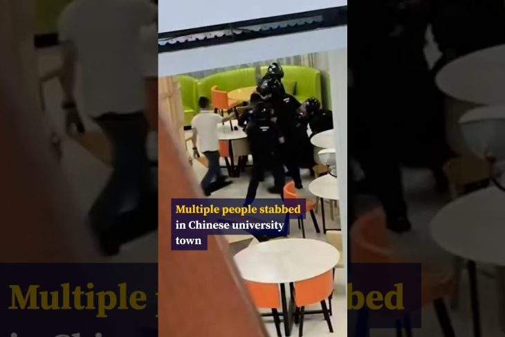 Multiple people stabbed in Chinese university town