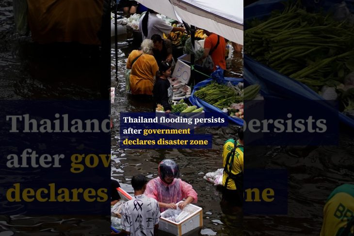 Thailand flooding persists after government declares disaster zone