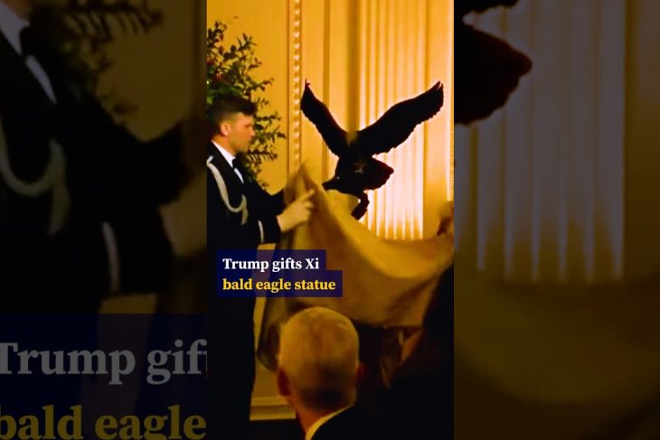 Trump gifts Xi bald eagle statue