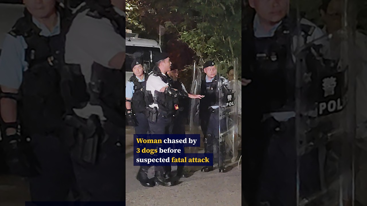 Woman chased by 3 dogs before suspected fatal attack
