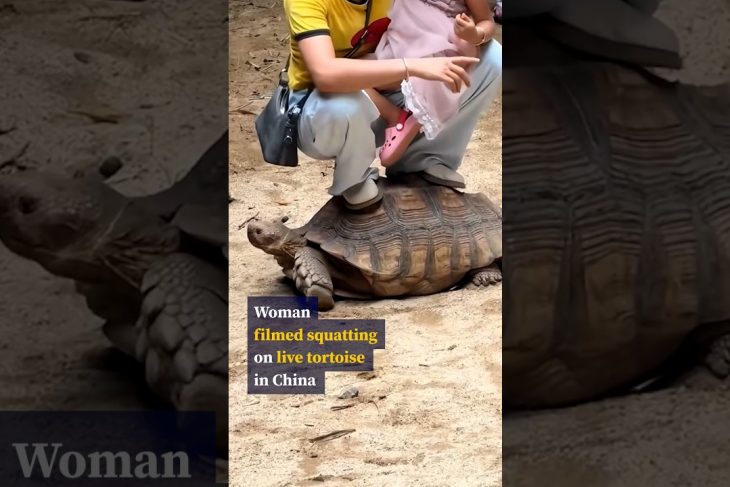 Woman filmed squatting on live tortoise in China