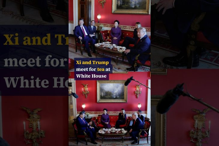 Xi and Trump meet for tea at White House