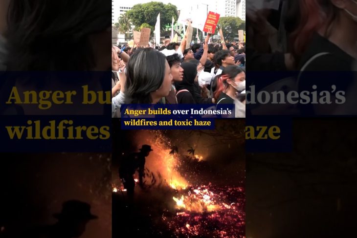 Anger builds over Indonesia’s wildfires and toxic haze