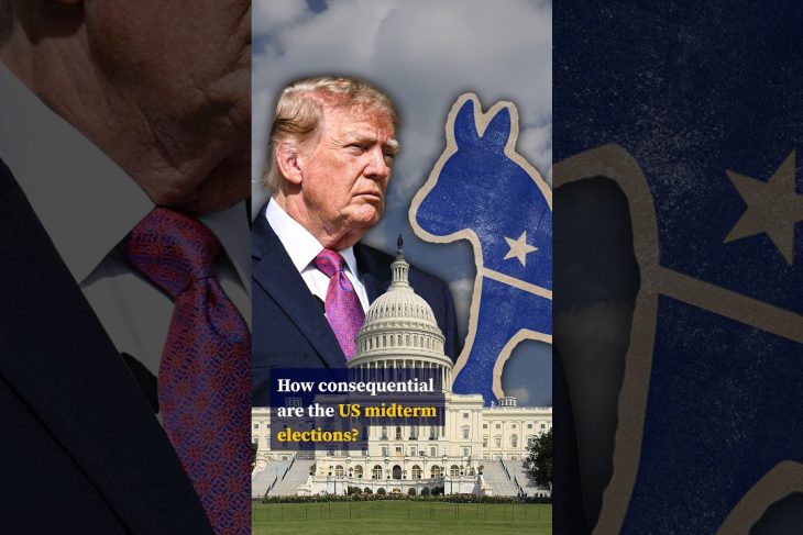 How consequential are the US midterm elections?