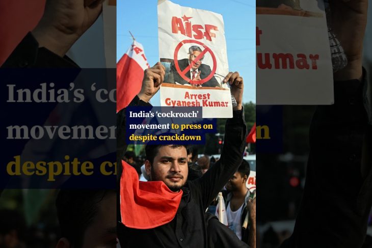 India’s ‘cockroach’ movement to press on despite crackdown