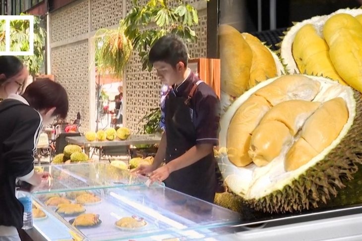 Malaysia pushes to lure Chinese durian fans away from Thai fruit supply