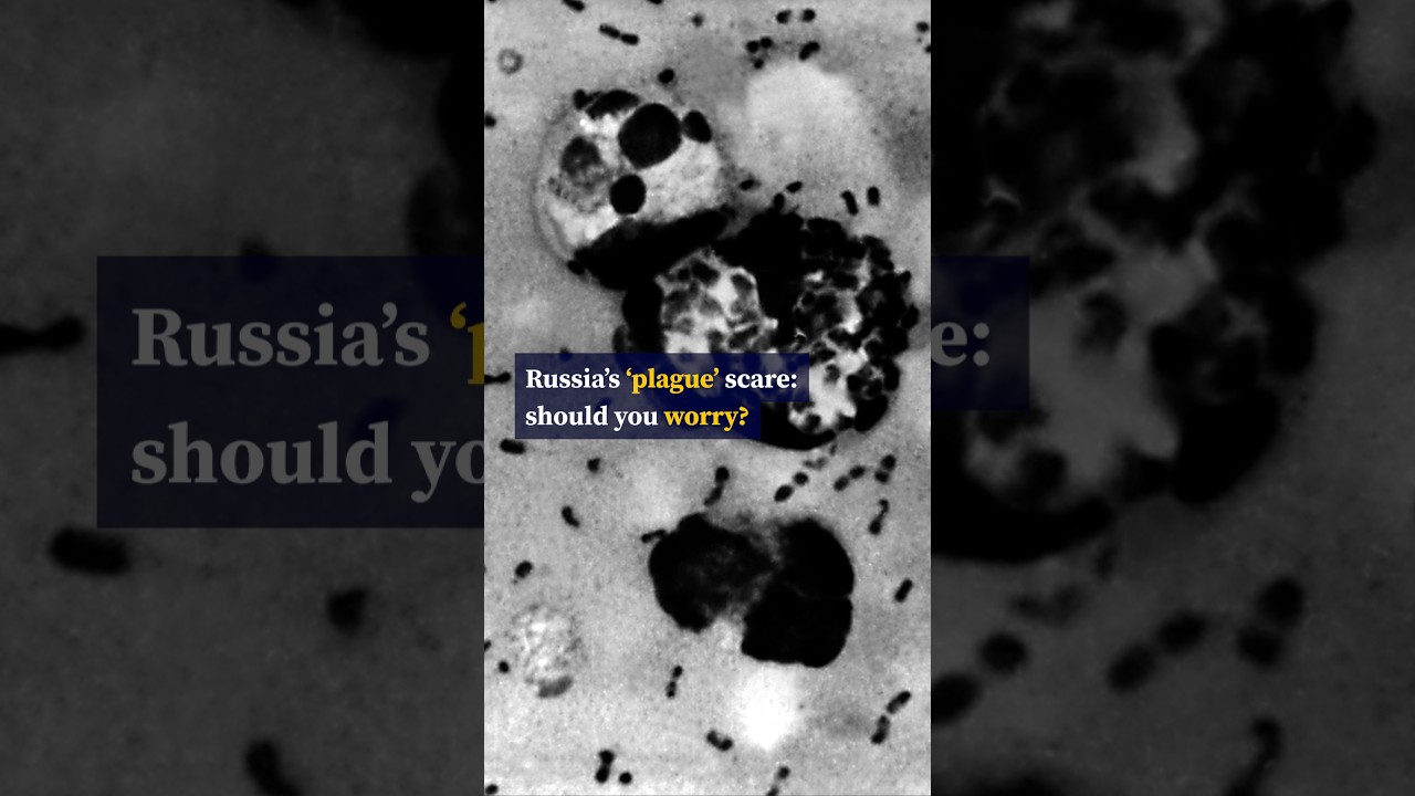 Russia’s ‘plague’ scare: should you worry?