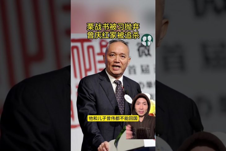Xi Jinping Purges Li Zhanshu? Zeng Qinghong’s Family Allegedly Targeted!